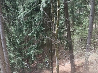 IMG 20220424 140150 2