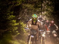 Mountain Wald (1 von 1)-11