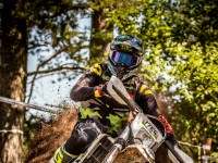 Mountain Wald (1 von 1)-26