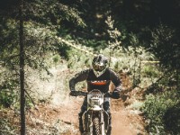 Mountain Wald (1 von 1)-32