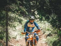 Mountain Wald (1 von 1)-33