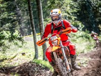 Mountain Wald (1 von 1)-41