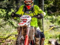 Mountain Wald (1 von 1)-44