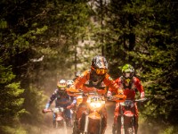 Mountain Wald (1 von 1)-5