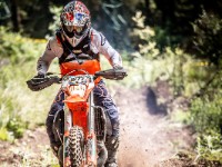 Mountain Wald (1 von 1)-52