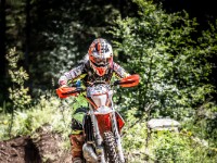 Mountain Wald (1 von 1)-56