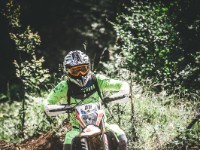 Mountain Wald (1 von 1)-58