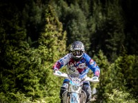 Mountain Wald (1 von 1)-61