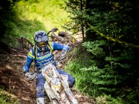 Mountain Wald (1 von 1)-62