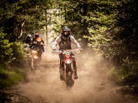 Mountain Wald (1 von 1)-8