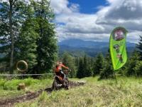 6833be98-85d1-4f16-940f-9a8464bb2574