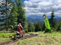 bfba446d-b77b-4b70-9820-60cce9534c1e