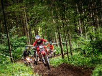 prampram (1 von 1)-38