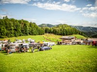 prampram (1 von 1)-48