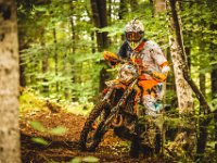 pramprampram (1 von 1)-15