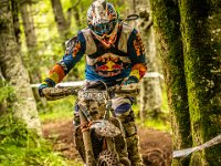 pramprampram (1 von 1)-24