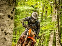 pramprampram (1 von 1)-4