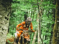 pramprampram (1 von 1)-9