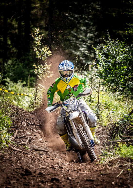 Mountain Wald 1 von 1 53