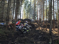 Video und Nachbericht: Finallauf ÖEC 2019 - RedStag!